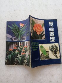 君子兰莳养经验选