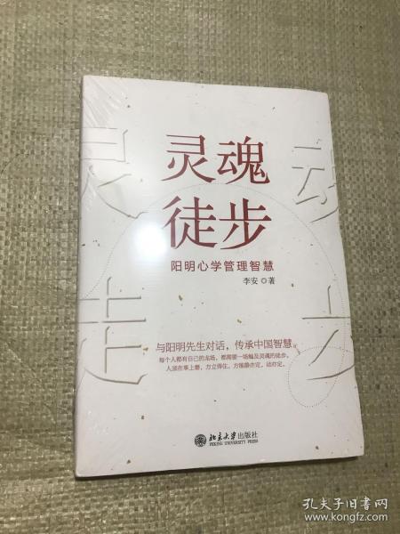 灵魂徒步 阳明心学管理智慧