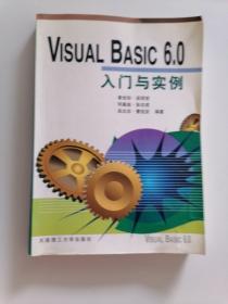 Visual Basic 6.0入门与实例
