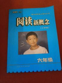 语文阅读能力强化丛书：阅读新概念（小学6年级）