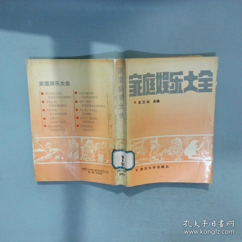 家庭娱乐大全  王三山 武汉大学出版社
