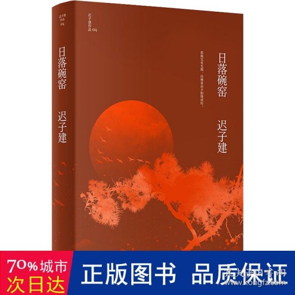 日落碗窑（茅盾文学奖、鲁迅文学奖得主迟子建小说代表作）