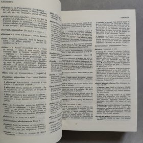 dictionnaire du bon français 好法语词典