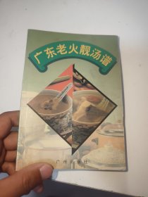 广东老火靓汤谱