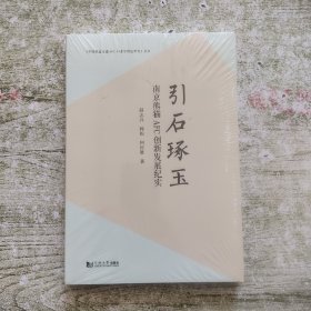 引石琢玉(南京熊猫AFC创新发展纪实)/中国轨道交通AFC行业里的追梦者丛书（全新未拆封）