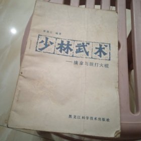 少林武术