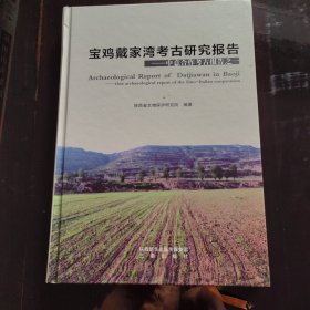 宝鸡戴家湾考古研究报告-中意合作考古报告之一