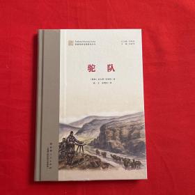 新疆探索发现系列丛书：驼队