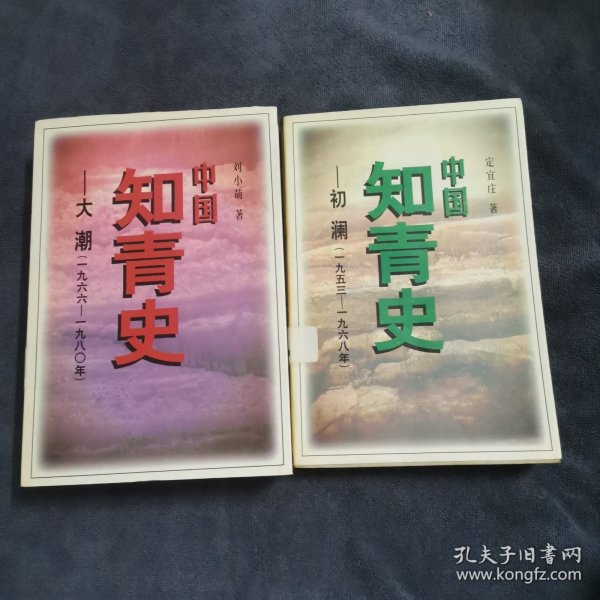中国知青史：初澜（1953一1968年）+大潮（1966一1980年）共两册合售