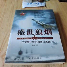 盛世狼烟：一个空军上校的国防沉思录