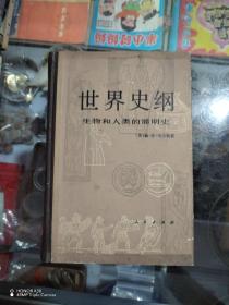 世界史纲——生物和人类的简明史