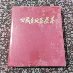 西藏自治区画集 (精装本)
