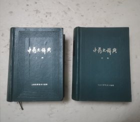 中药大辞典.上下册全