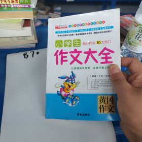 小学生作文大全