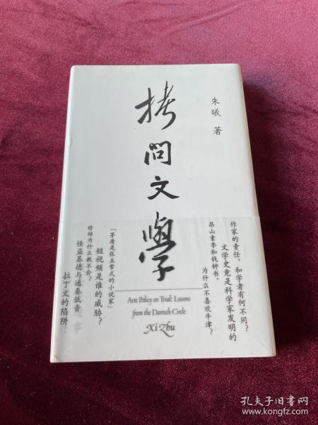 拷问文学（读了几百年小说，你需要知道作家为什么写小说）