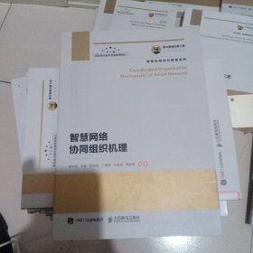 国之重器出版工程 智慧网络协同组织机理