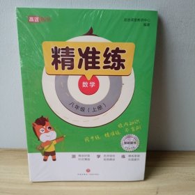 精准练 数学 八年级上册