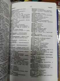 冰岛语丹麦语词典