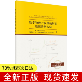 数学物理方程爆破解的数值诊断方法