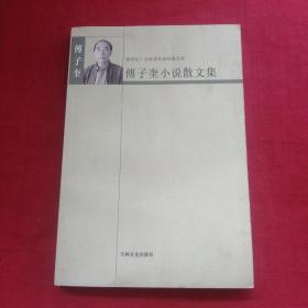 傅子奎小说散文集