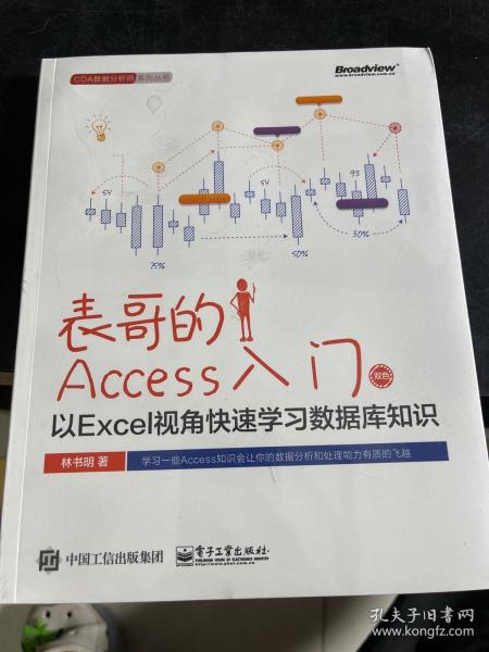 表哥的Access入门：以Excel视角快速学习数据库知识