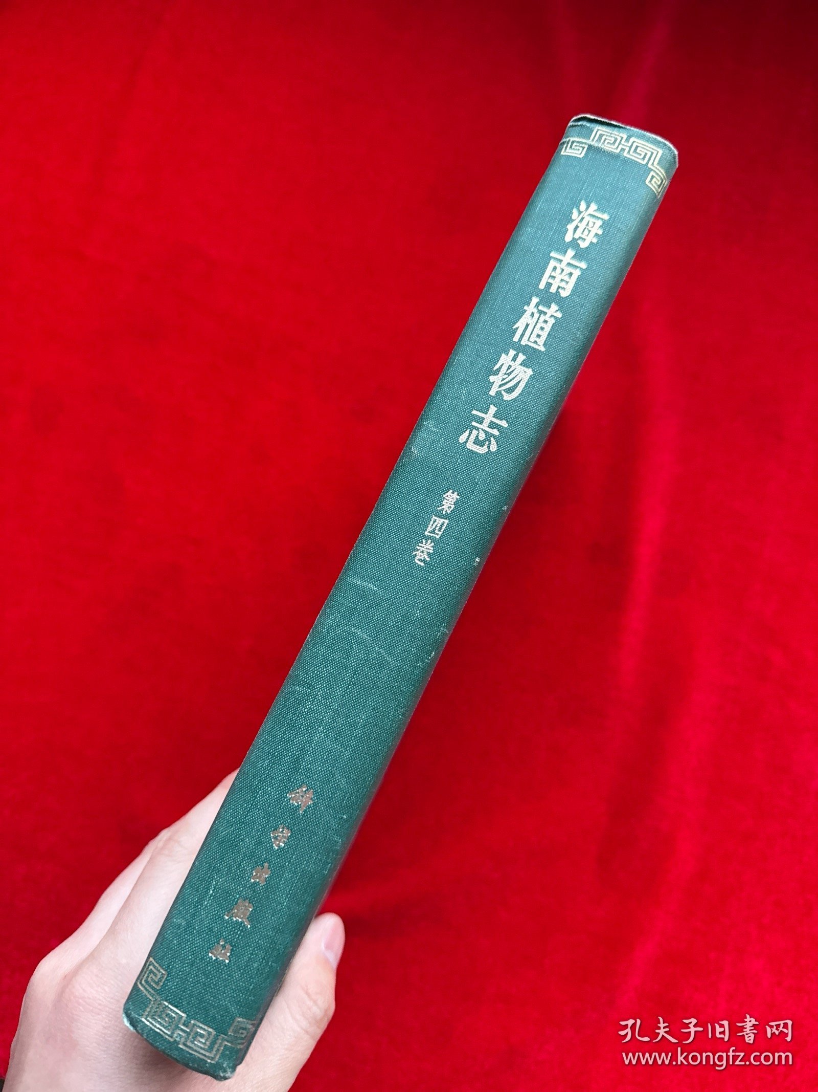 海南植物志（第四卷）精装