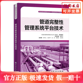 管道完整性管理系统平台技术 管道完整性管理技术丛书