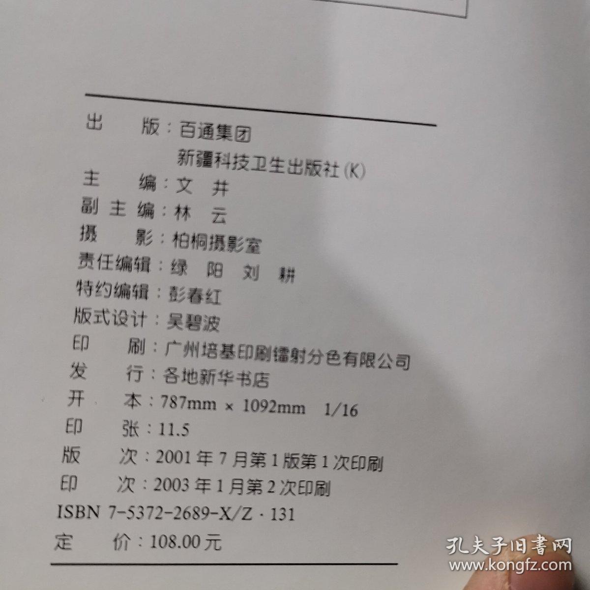 园林景观设计实录（4）