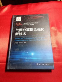 化工过程强化关键技术丛书--气固分离耦合强化新技术