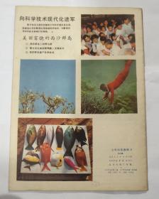 少年科学画册 2 （1977年12月出版）