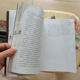 安第斯之谜：寻找黄金国