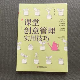 课堂创意管理实用技巧【未开封】