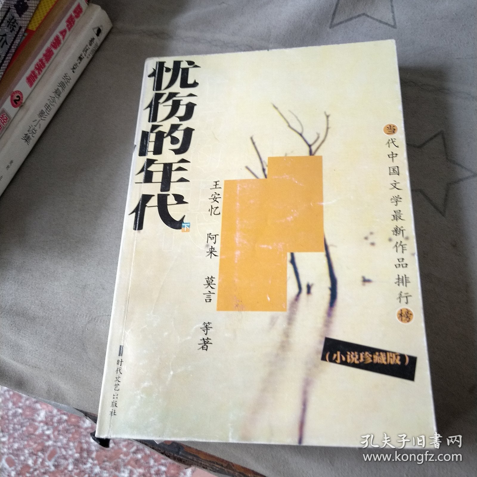 当代中国文学最新作品排行榜忧伤的年代