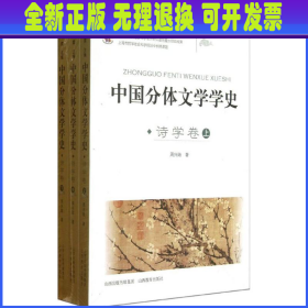 中国分体文学学史