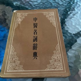中医名词辞典