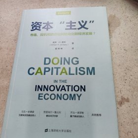 资本“主义” ——市场、投机和政府如何推动创新经济发展（引进版）