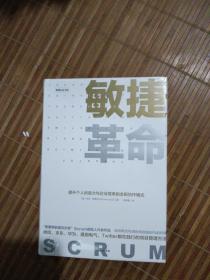 敏捷革命:提升个人创造力与企业效率的全新协作模式