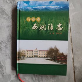 乌苏市西湖镇志，