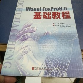 Visual Foxpro6.0基础教程