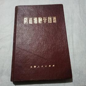 阴道细胞学图谱