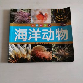 海洋动物（升级版 ） 9787122175069