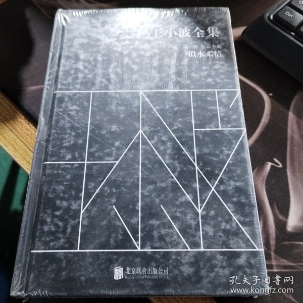 王小波全集（第六卷 短篇小说）：似水柔情