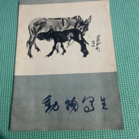 动物写生