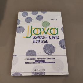 Java多线程与大数据处理实战