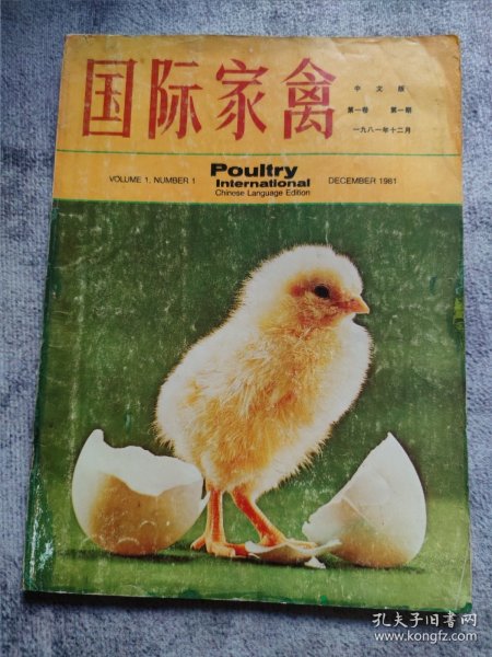 创刊号：国际家禽 创刊号（1981年12月）