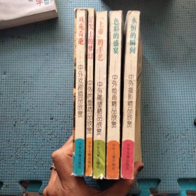 艺术长廊丛书：《戏苑奇葩》中外戏剧精品欣赏+《足尖上的梦幻》中外芭蕾精品欣赏+《色彩的盛宴》中外绘画精品欣赏+《永恒的瞬间》中外摄影精品欣赏+《上帝的手艺》中外雕塑精品欣赏（五本合售）