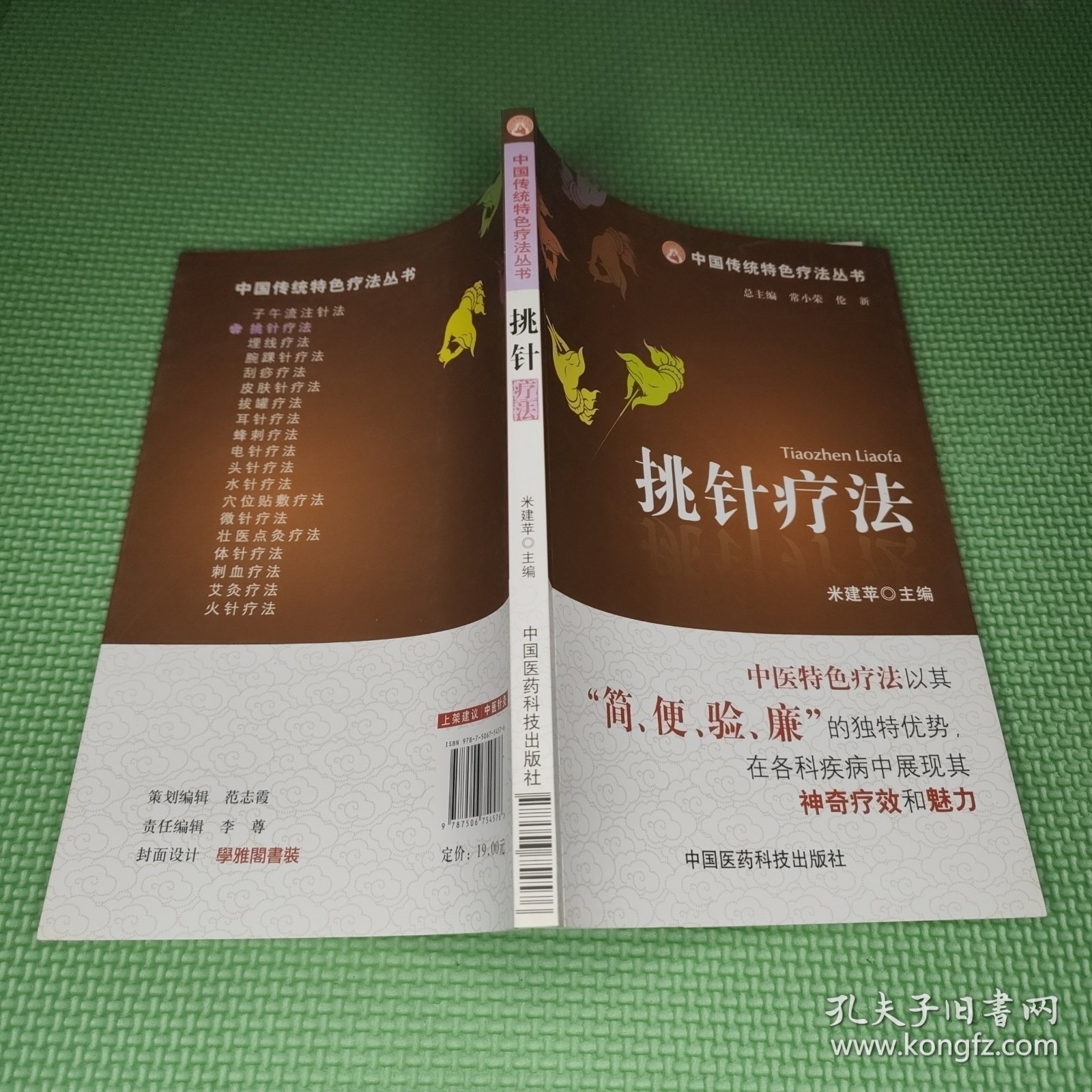 中国传统特色疗法丛书：挑针疗法