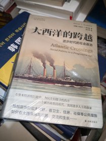 大西洋的跨越：进步时代的社会政治(美国史获奖作品！在资本经济的巨轮中，为民生问题寻找药方。)