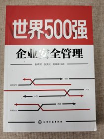 世界500强企业安全管理