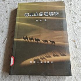 哪里来的骆駝客，新疆大学出版社